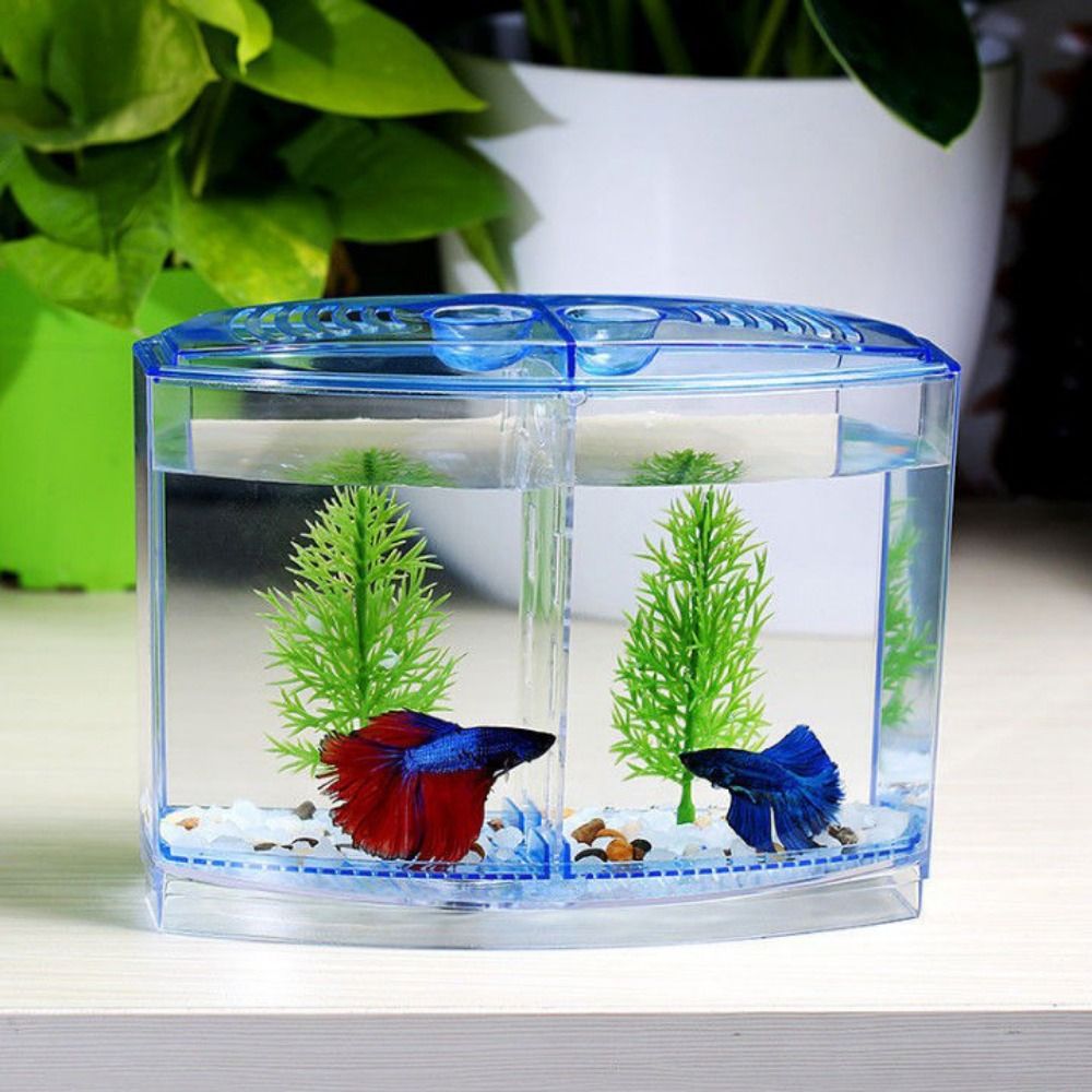 Aquarium Fish Betta - Transparent Betta Fish Tank, Double-grid Rhombus