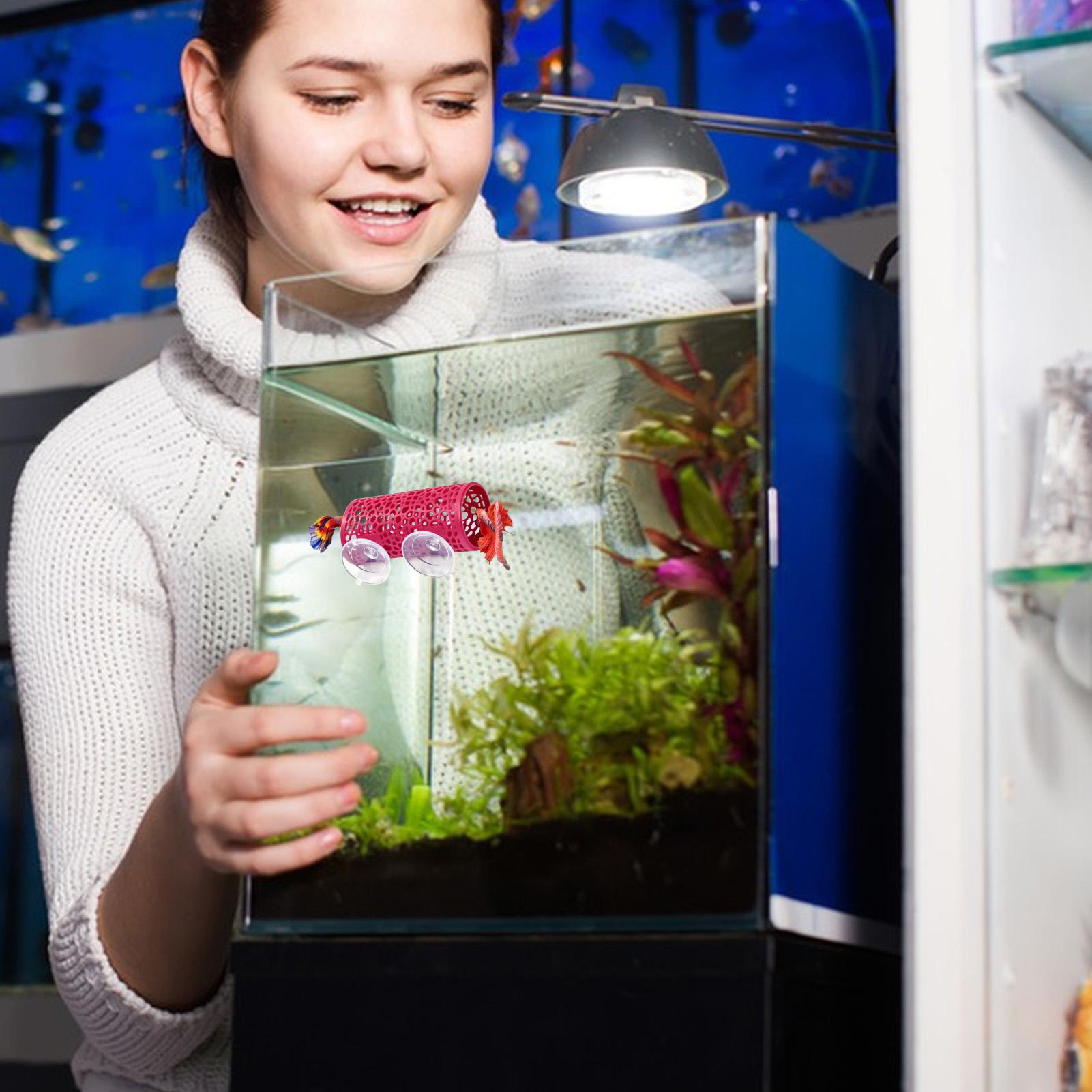 Betta Habitat Resting Shelter  - огляд і ціна Aquarium Fish Betta