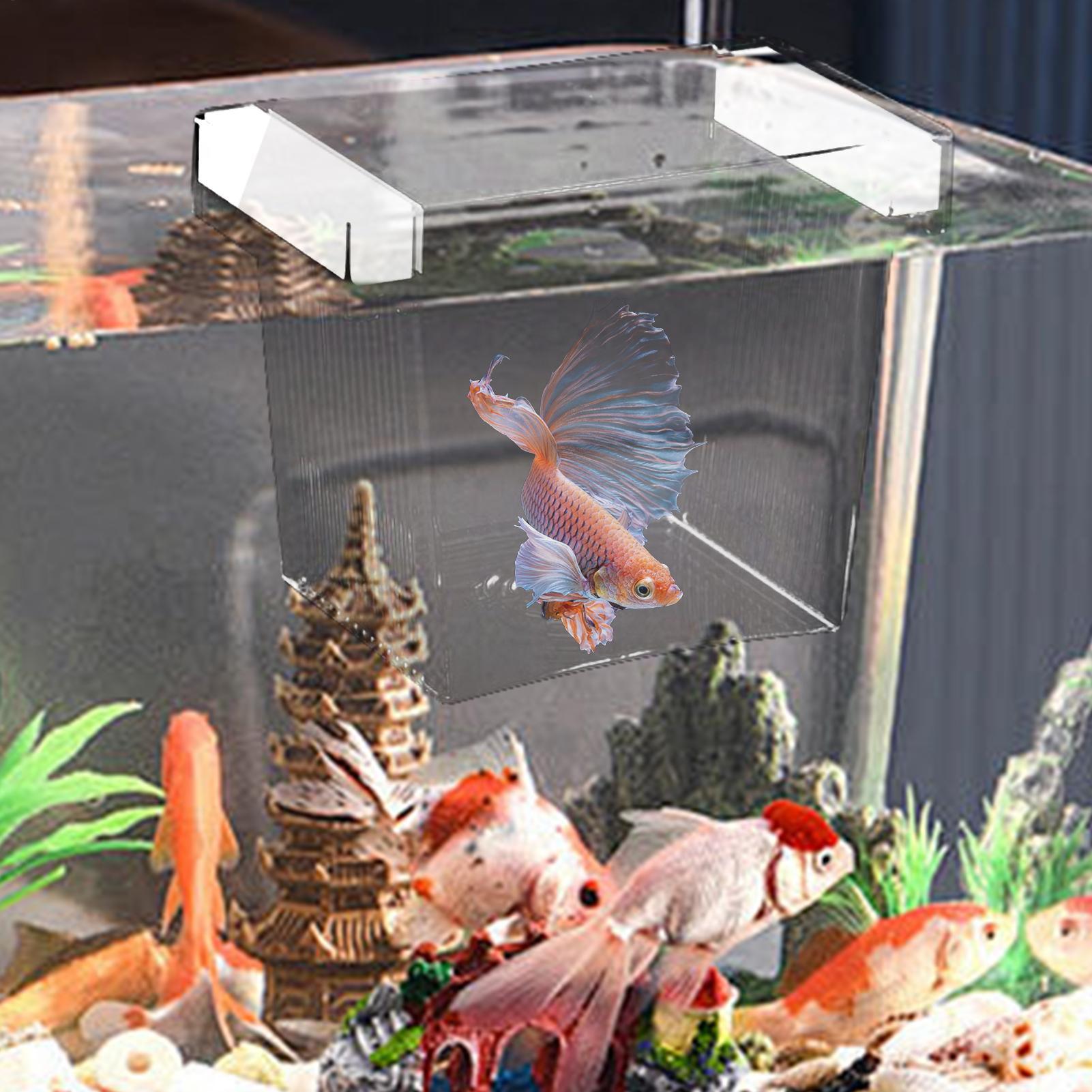 Floating Fish Breeding Isolati - огляд і ціна Aquarium Fish Betta