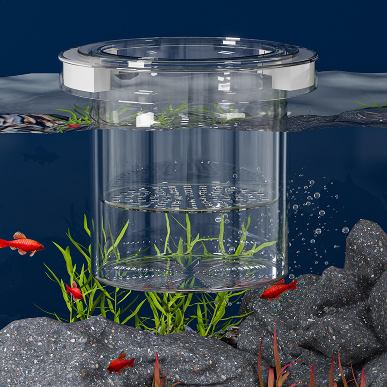 Floating Fish Breeding Isolati - огляд і ціна Aquarium Fish Betta