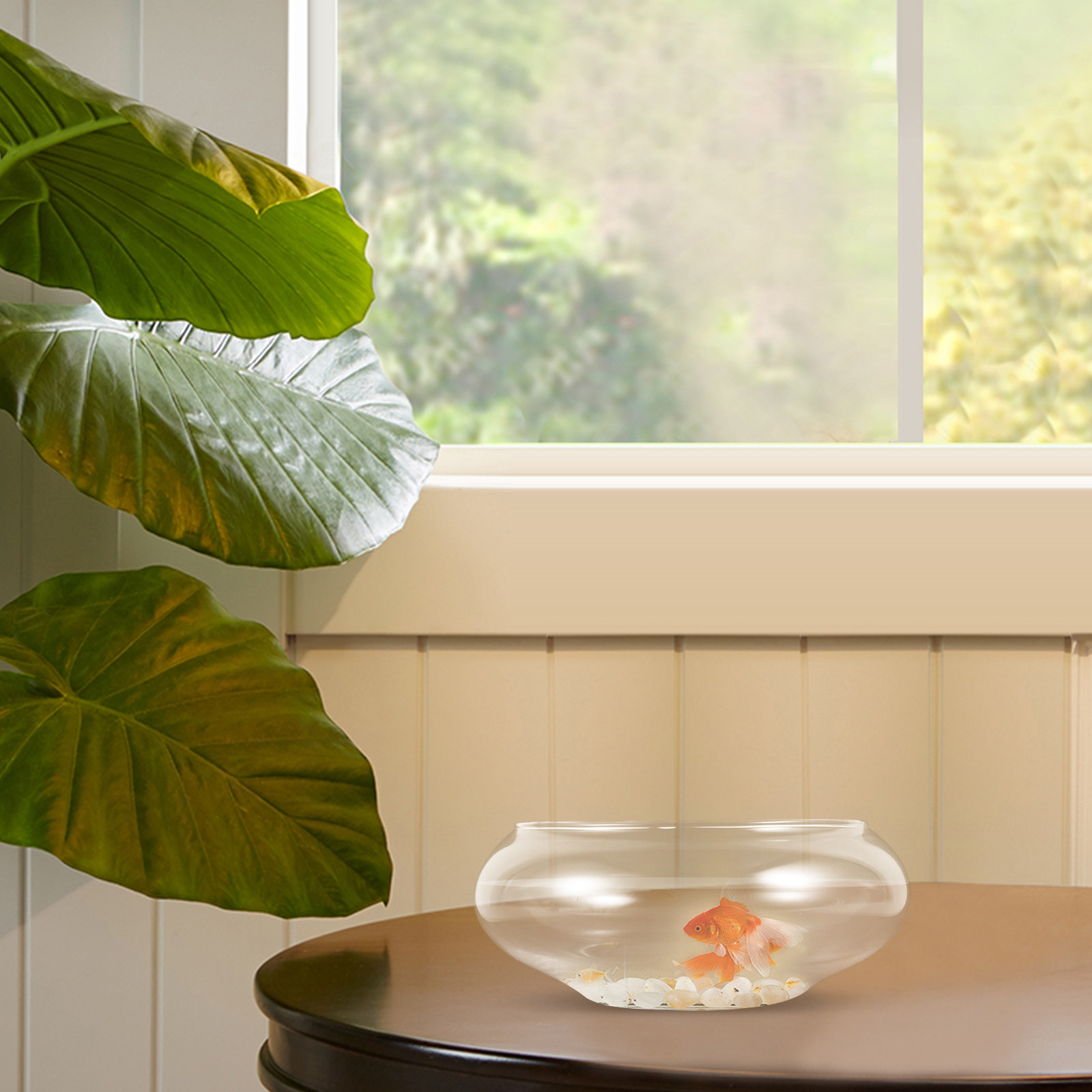 Clear Glass Fish Bowl Round De - огляд і ціна Aquarium Fish Goldfish