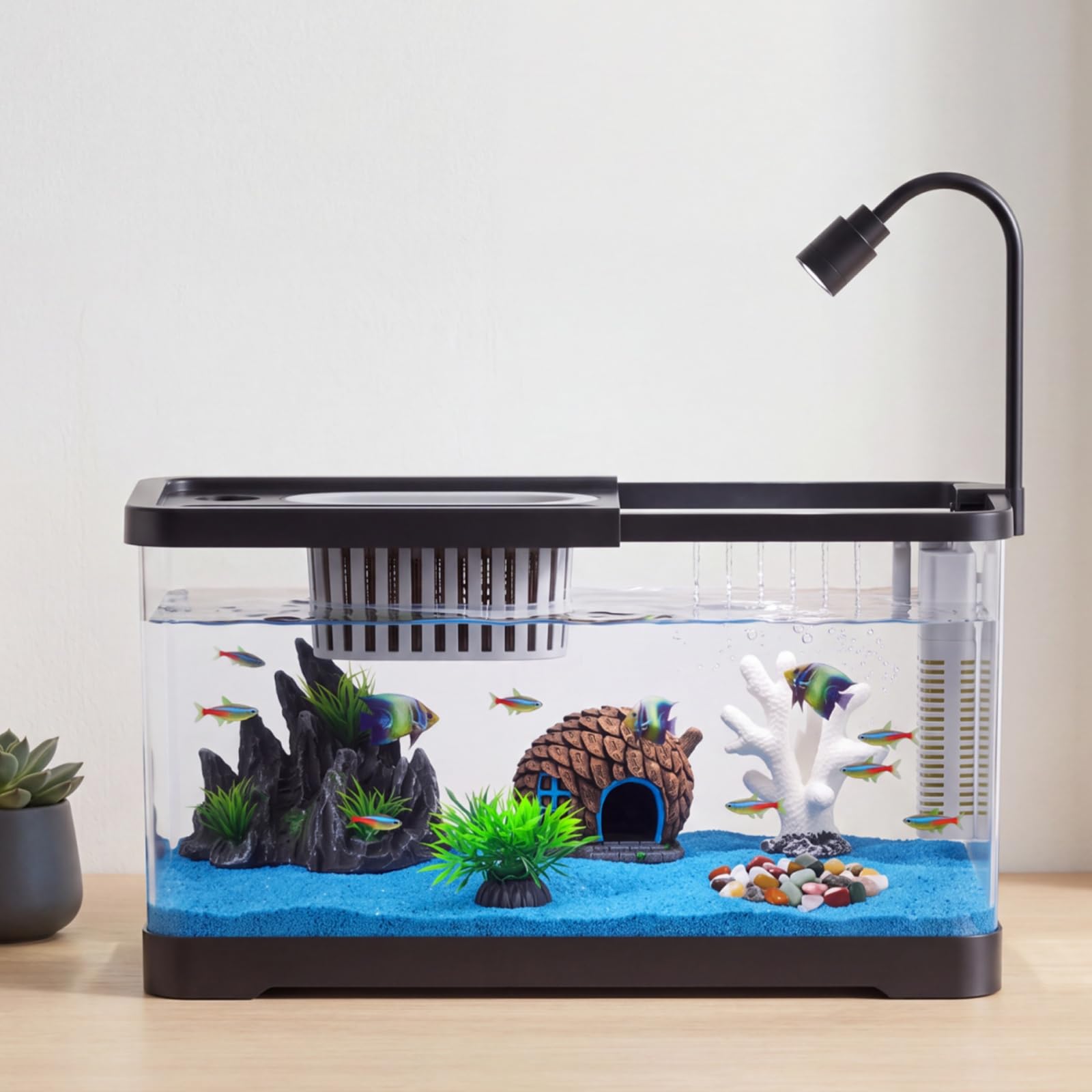 Fish Tank Starter Kit With Fil - огляд і ціна Aquarium Fish Goldfish