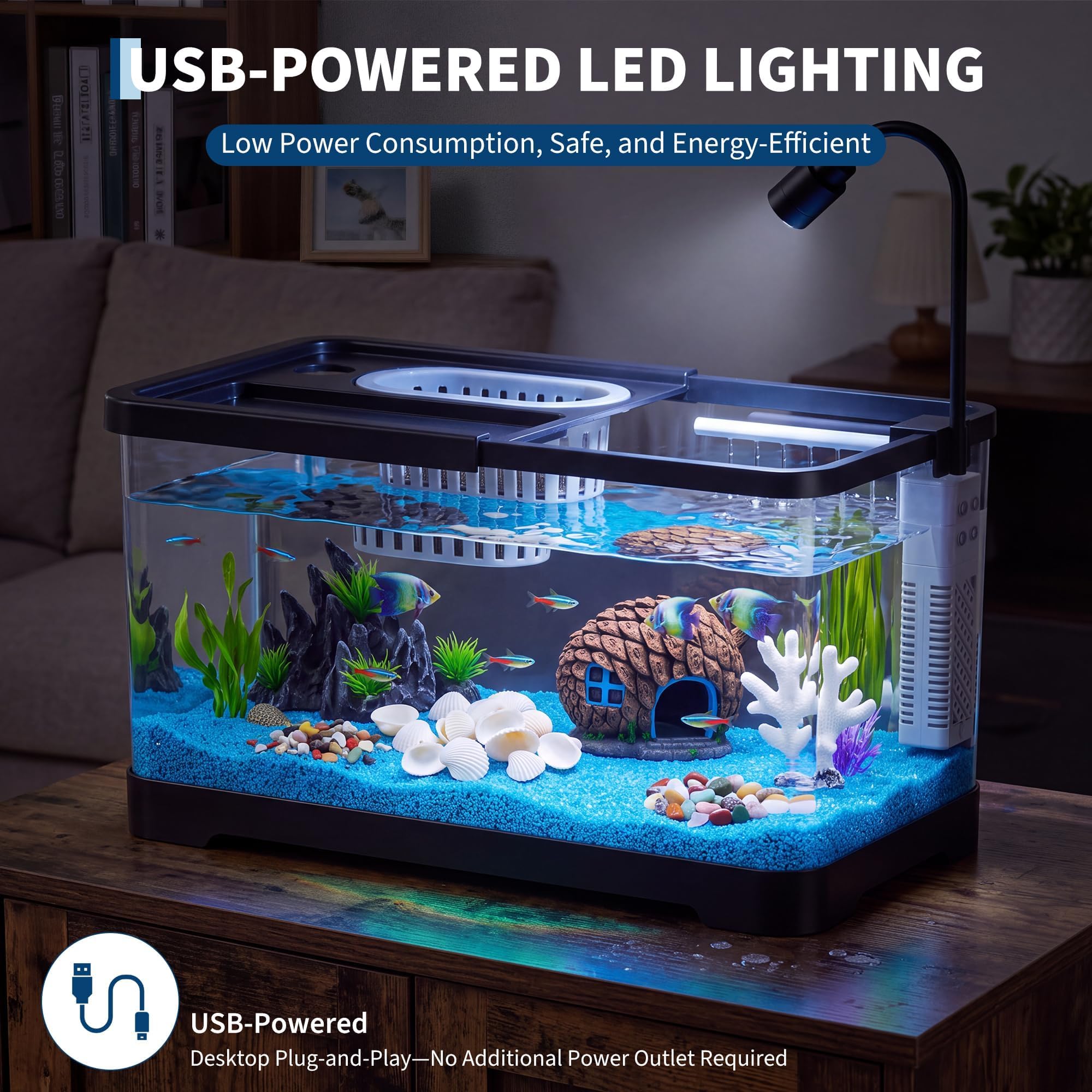 Fish Tank Starter Kit With Fil - огляд і ціна Aquarium Fish Goldfish