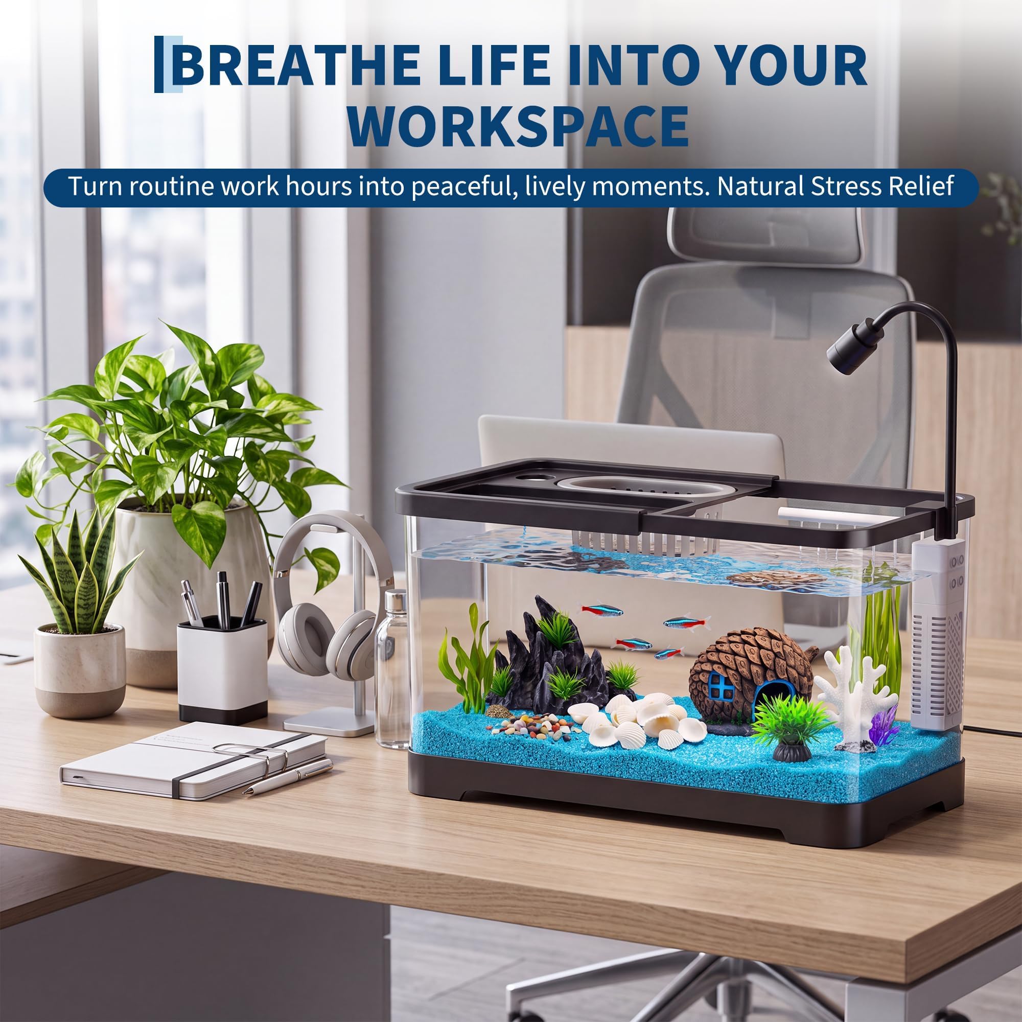 Fish Tank Starter Kit With Fil - огляд і ціна Aquarium Fish Goldfish