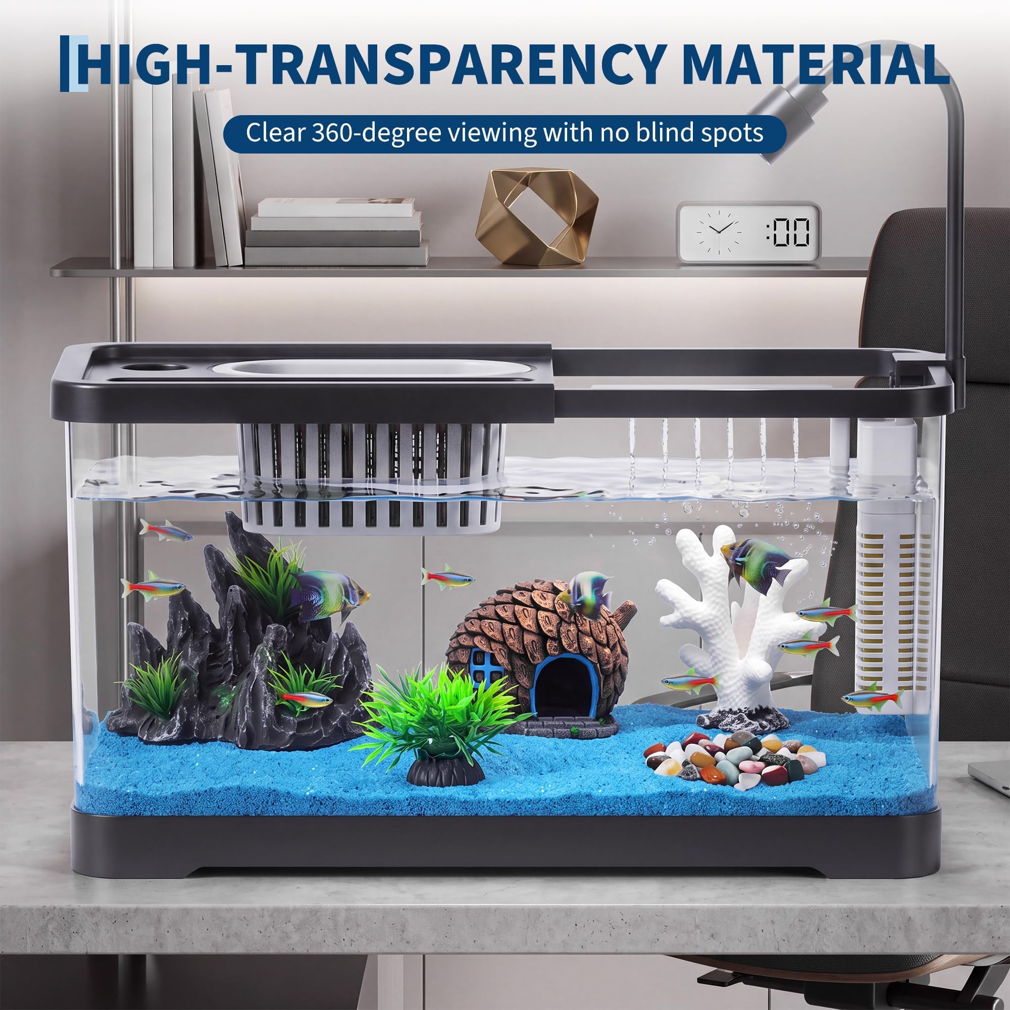 Fish Tank Starter Kit With Fil - огляд і ціна Aquarium Fish Goldfish