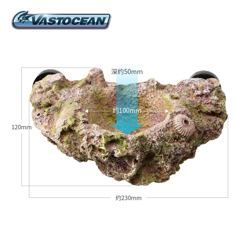 VASTOCEAN Magnetic Anemone Hol - огляд і ціна Aquarium Fish Hiding Places