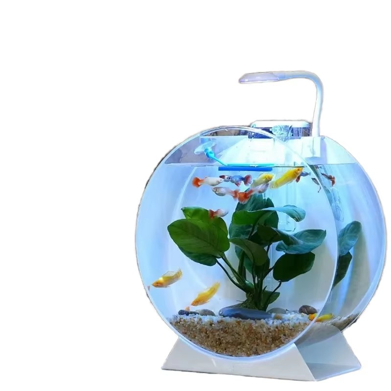 Hot Sale Modern Eco-Friendly A - огляд і ціна Aquarium Fish Sale