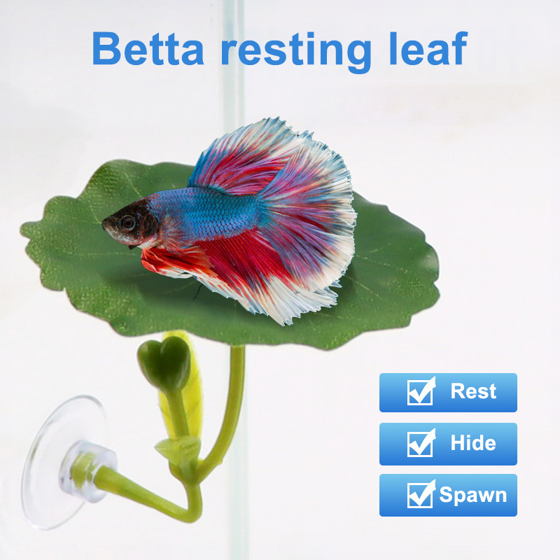 (Ce14)1/5PC Green Leaf Hammock - огляд і ціна Aquarium Fish Betta
