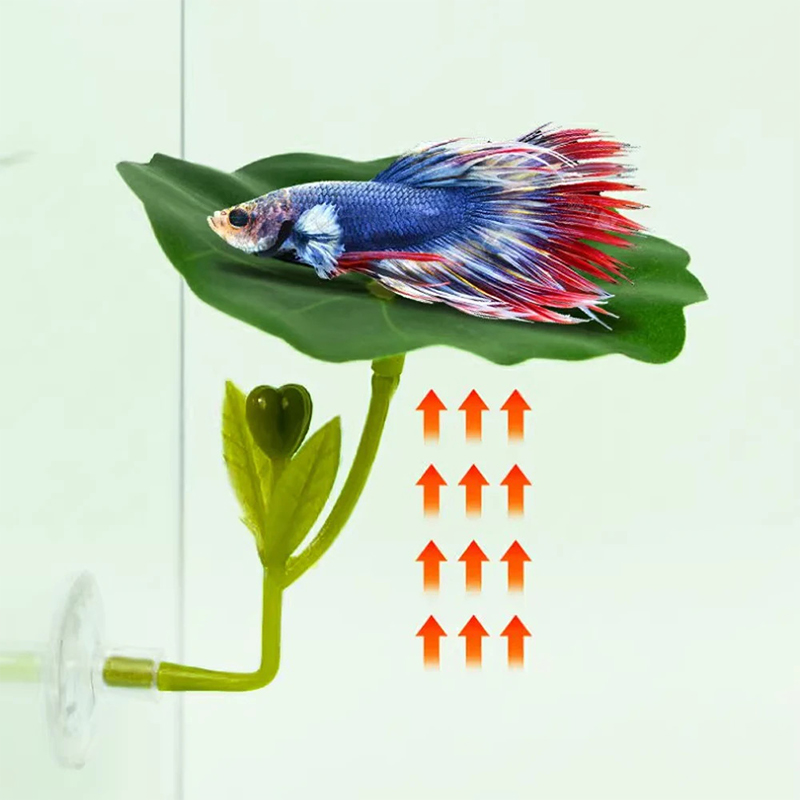 (Ce14)1/5PC Green Leaf Hammock - огляд і ціна Aquarium Fish Betta
