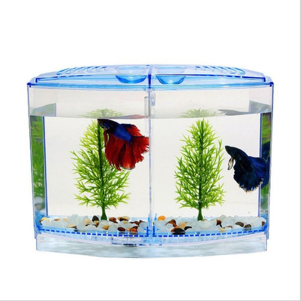 Transparent Betta Fish Tank, D - огляд і ціна Aquarium Fish Betta