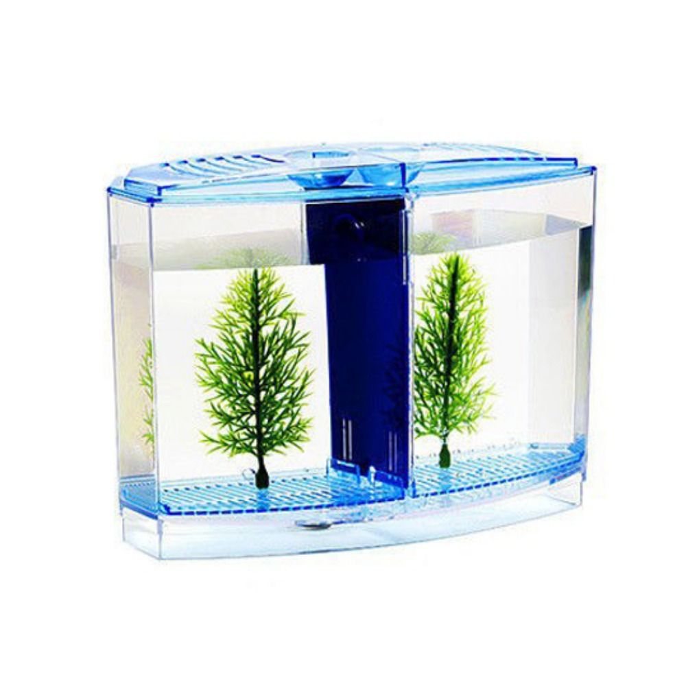 Transparent Betta Fish Tank, D - огляд і ціна Aquarium Fish Betta