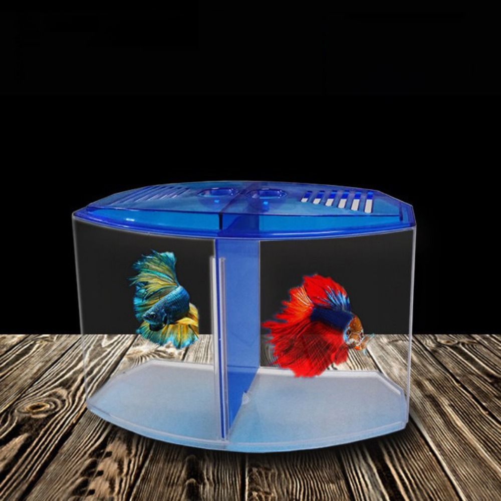 Transparent Betta Fish Tank, D - огляд і ціна Aquarium Fish Betta