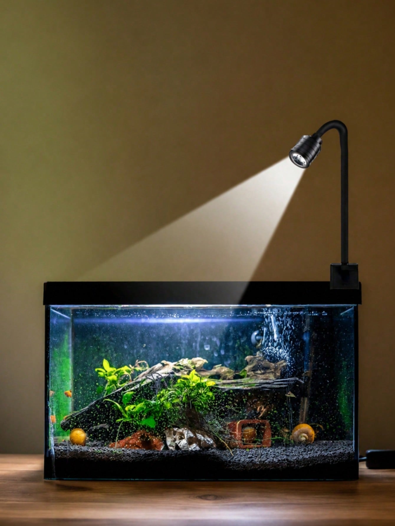 USB aquarium lights, Zoom Sout - огляд і ціна Aquarium Fish Goldfish