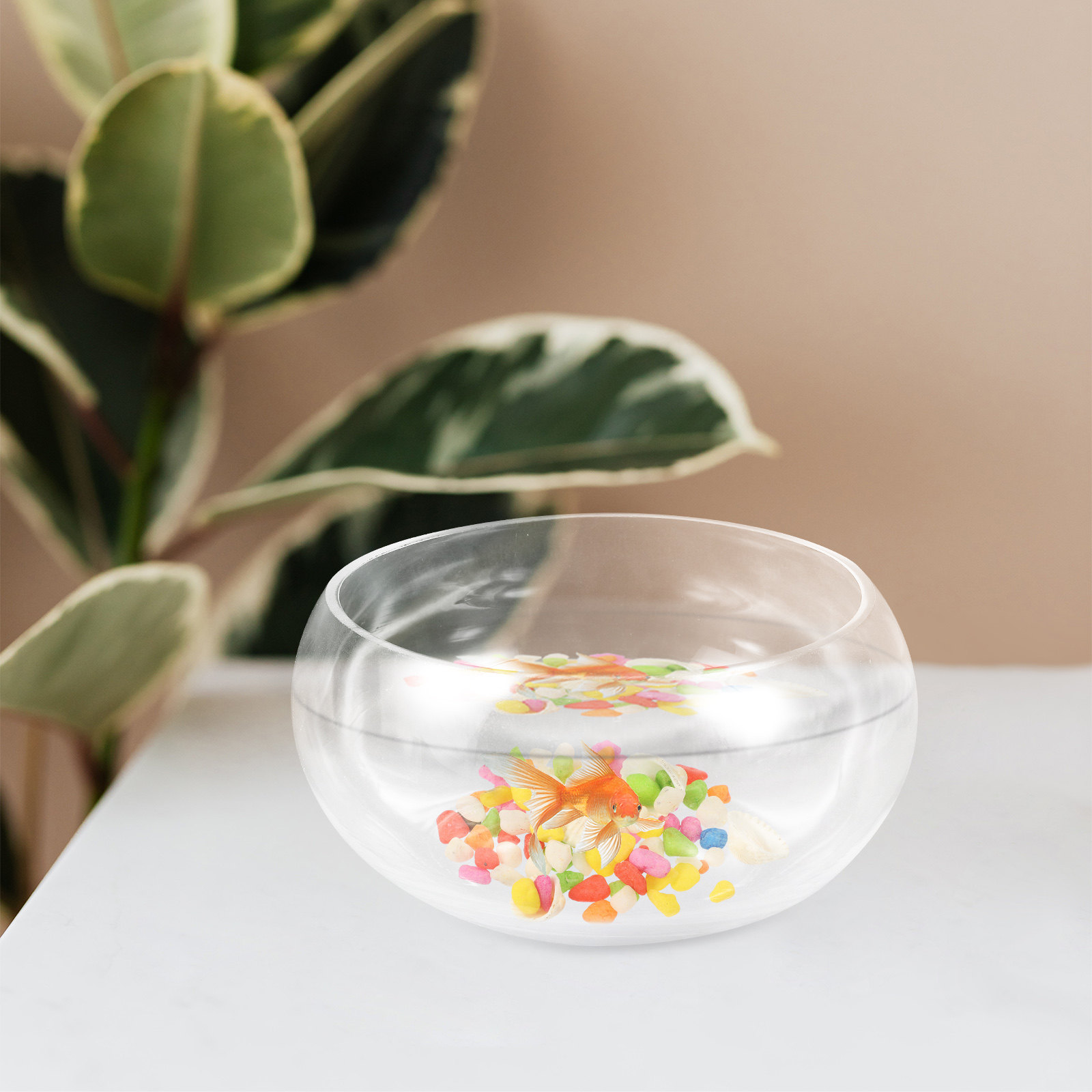 1Set Fish Bowl Glass Round Fis - огляд і ціна Aquarium Fish Goldfish