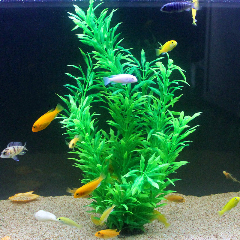 50CM Artificial Fish Tank Rare - огляд і ціна Aquarium Fish Store
