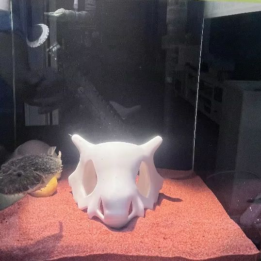 3D Printed FIsh Shrimp Reptile - огляд і ціна Aquarium Fish Hiding Places