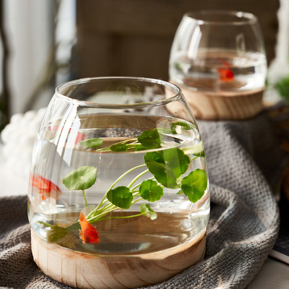 1Set Clear Glass Hydroponic Pl - огляд і ціна Aquarium Fish Betta